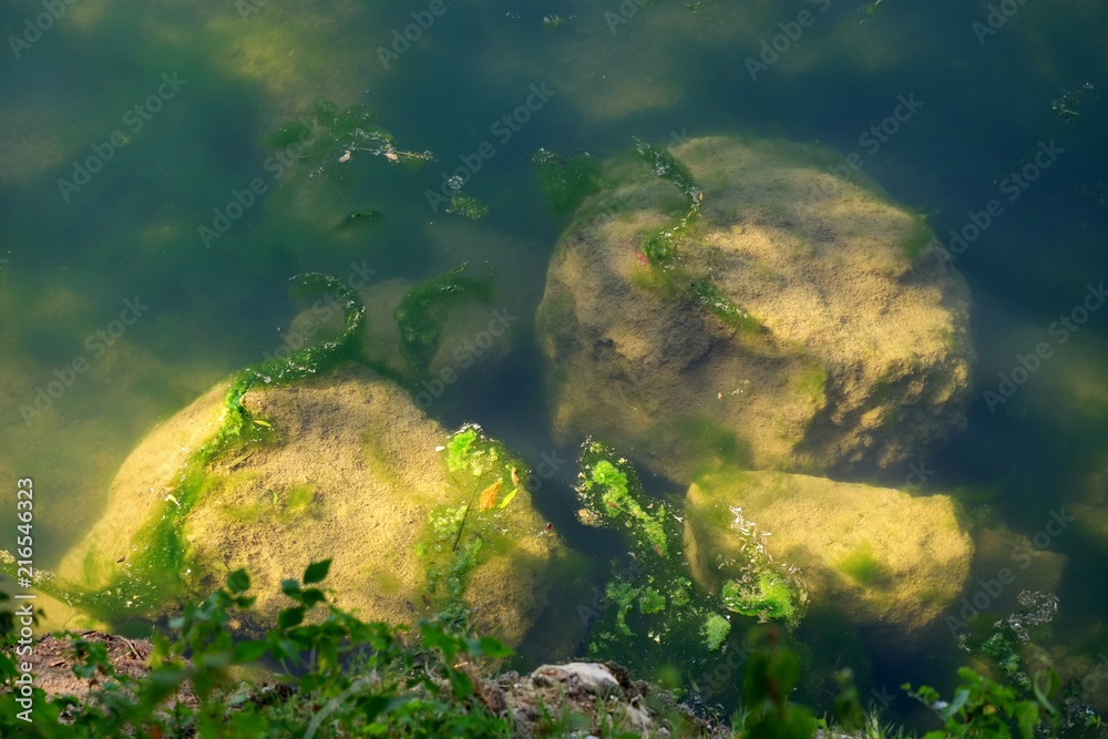 Rochers dans les eaux claires du Doubs.