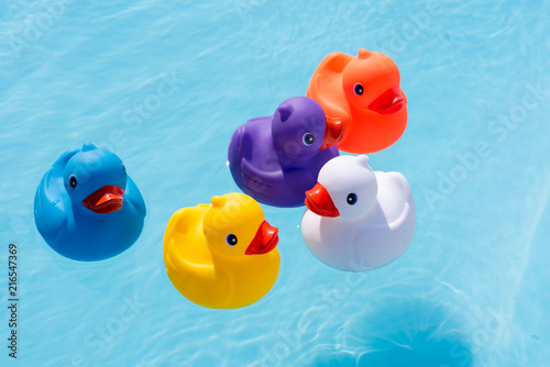 Five colourful rubber ducks, a family of ducks, yellow, blue, purple and orange, swimming in the water in a paddling pool © PhotoArt Thomas Klee
