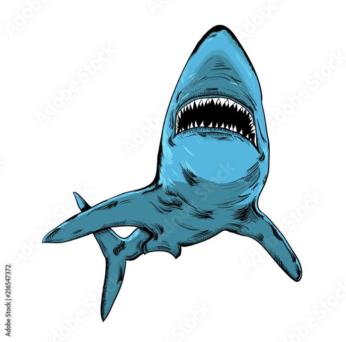Shark in circle. abstract drawing. vector illustration.