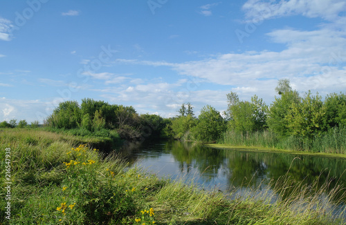 river, land with trees and cloudy sky