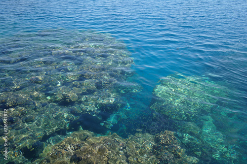Water surface above coral © ekulik2011