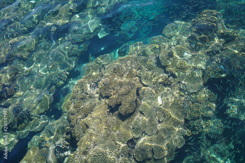 Water surface above coral