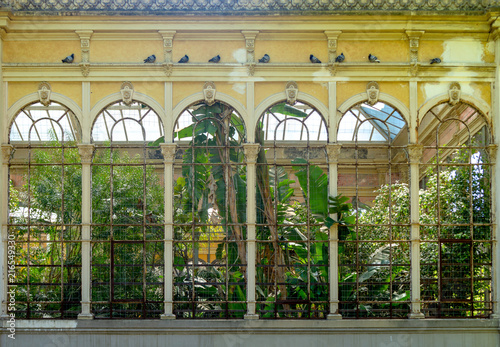 Serre abandonnée