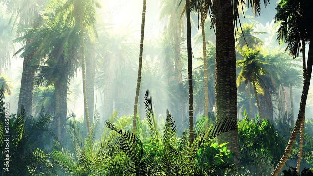 Obraz premium Tropikalna dżungla we mgle. Palmy rano.
