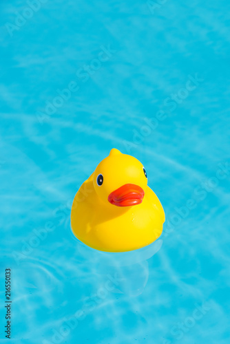 A single yellow rubber duck floats in a paddling pool