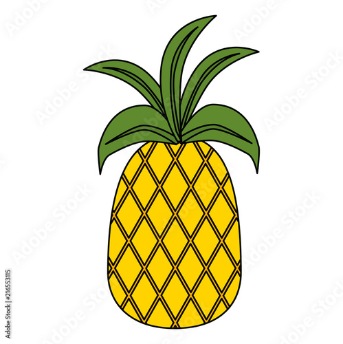fresh pineapple fruit icon