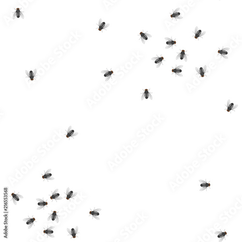 Seamless pattern from flock of flies on a white background