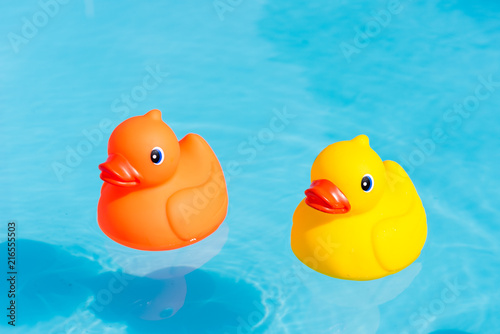 An orange and a yellow rubber duck swimming in the water in a paddling pool