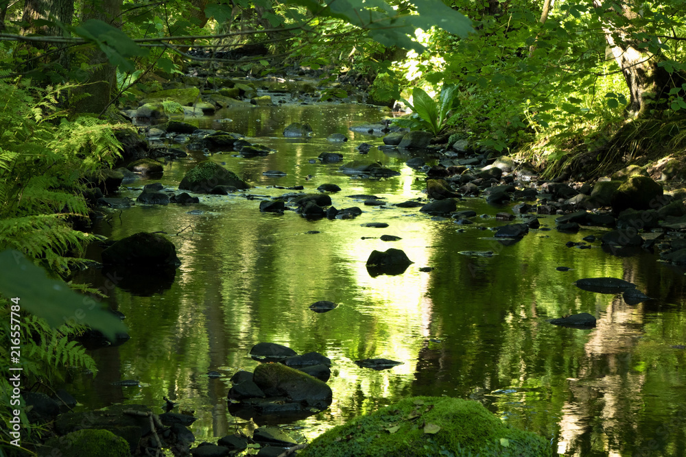 Summertime reflections on a rocky stream at Oak Beck,Birk Crag,Harrogate,North Yorkshire,England,UK. Summertime reflections on a rocky stream at Oak Beck,Birk Crag,Harrogate,North Yorkshire,England,UK.
