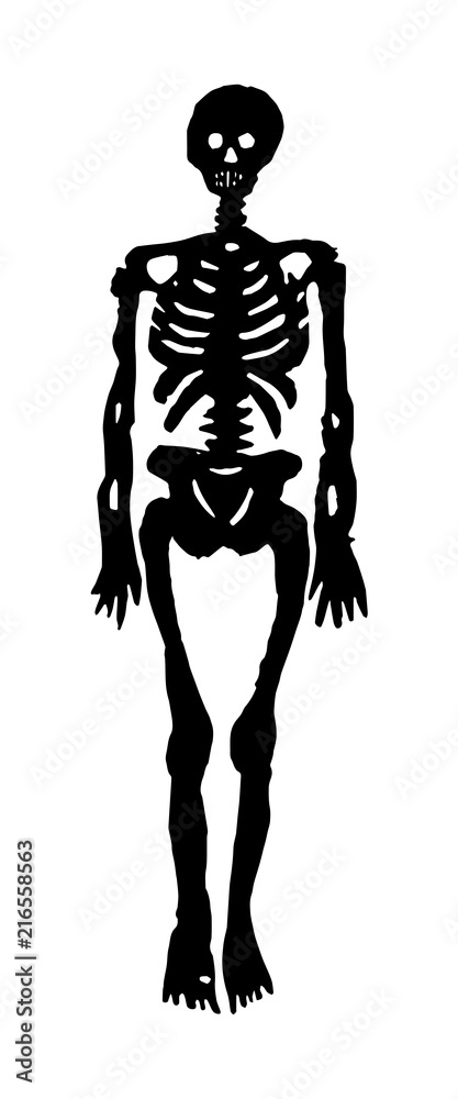 funny skeleton silhouette