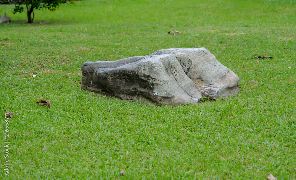 Decorative stone on grass Decorative stone on grass