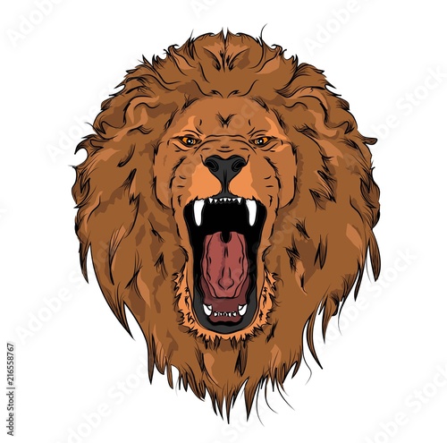 Fototapeta Naklejka Na Ścianę i Meble -  A hipster lion on a background of blots. Vector illustration