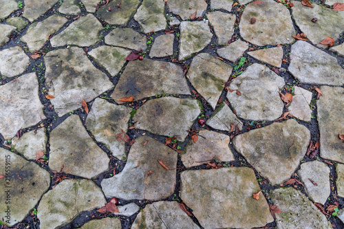 Floor tiles in an outdoor area with some chestnuts, indicating that it is autumn.