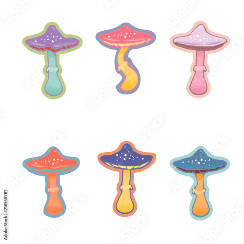 amanita