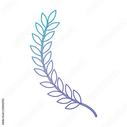 leafs spike decorative icon vector illustration design