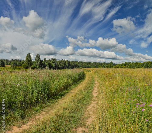 Partly cloudy on a Sunny day on the river Bank.