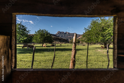 Zion National Park