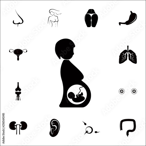 child in the womb of a woman icon. Detailed set of Human parts icons. Premium quality graphic design sign. One of the collection icons for websites, web design, mobile app