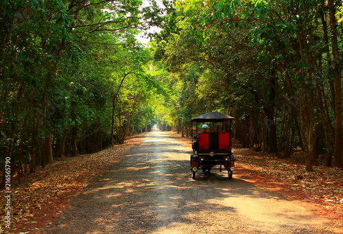 Tourism soft background of driving rickshaw taxi on tropical jungle road around Angkor Wat temple complex in Cambodia