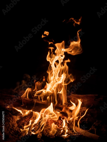 Campfire at night