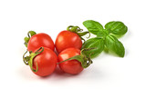 Cherry Tomatoes with green fresh basil leaf isolated on white background