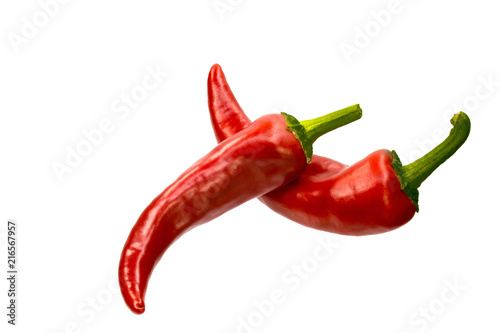 chili pepper isolated