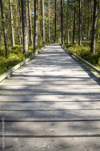 The pedestrian road from a board flooring in the wood. © Mikhail