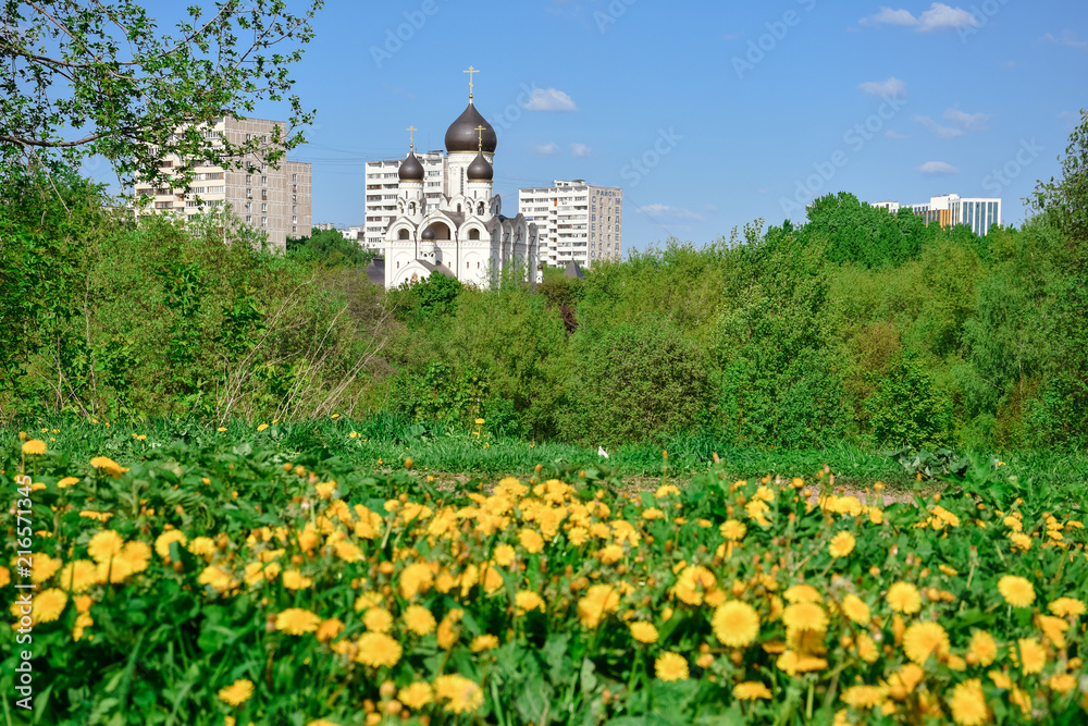 Yellow daisies on the background of the Temple of the Reverend Seraphim of Sarov