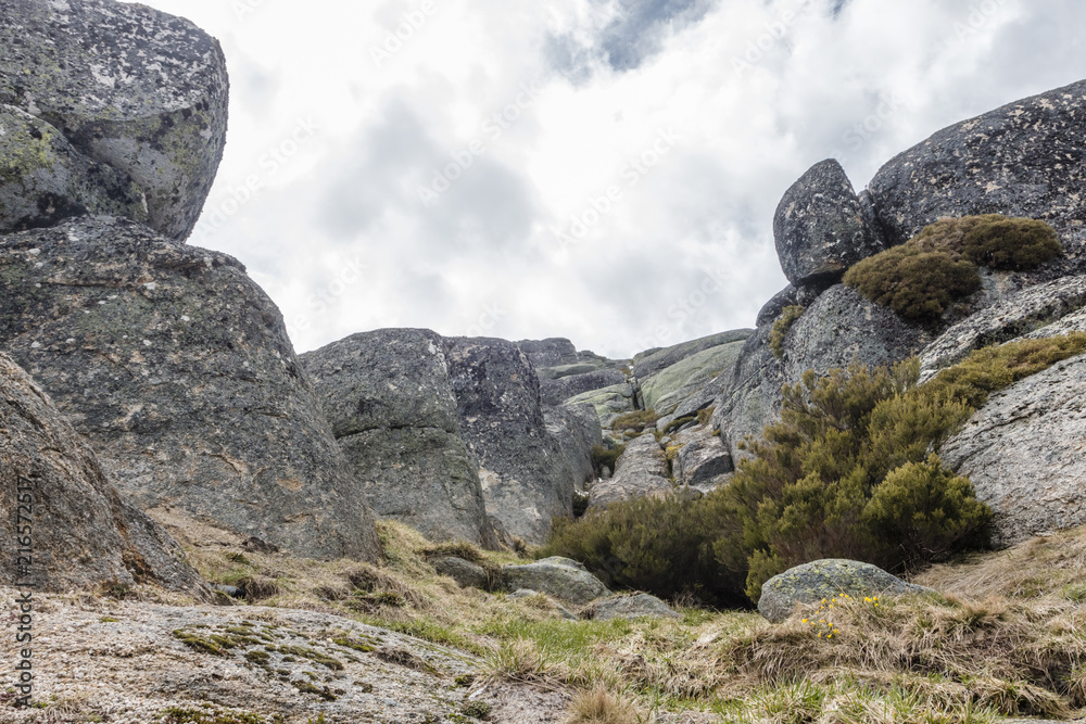 Fototapeta premium Natural Park Serra da Estrella, Portugal.