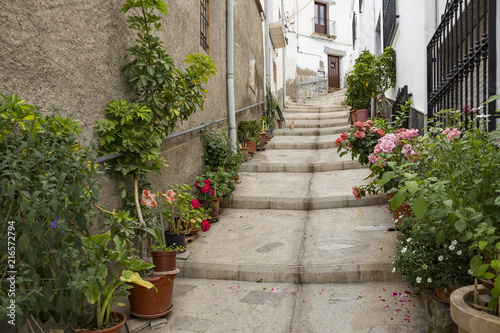 a street decorated with flowers in Abla town, Almeria province, Andalusia, Spain