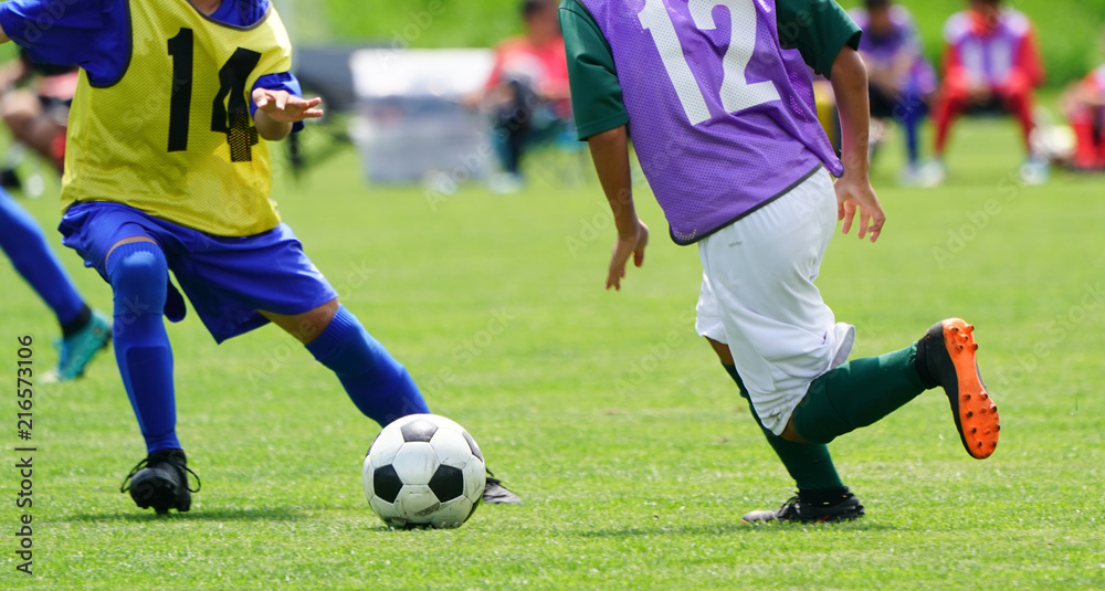 Fototapeta premium サッカー フットボール