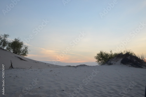 Monahan's Sandhills State Park, Tx.  Silhouettes over the Dunes. © Sasha's Sentiments
