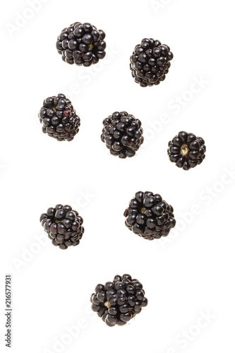 falling blackberry fruits isolated on white background