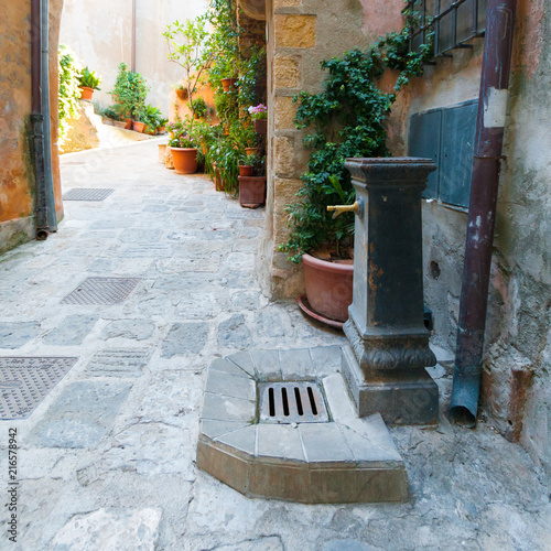 Capalbio is a small tower in maremma, tuscany, italy photo