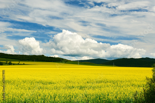 Fototapeta Naklejka Na Ścianę i Meble -  Hulunbuir grasslands of inner Mongolia.