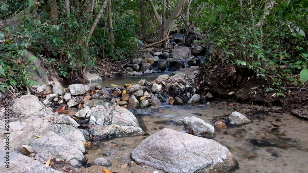 The stream flows through rocks in the forest. The stream flows through rocks in the forest.