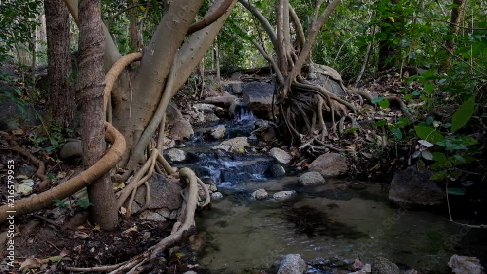 The stream flows through rocks in the forest. The stream flows through rocks in the forest.