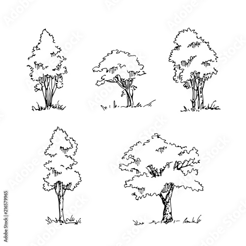 Set of hand drawn architect trees. Vector sketch.Architectural illustration 