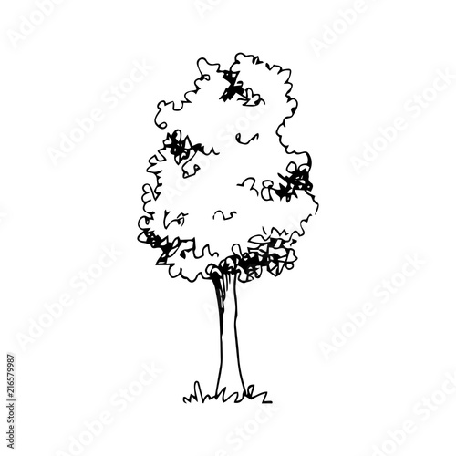 Hand drawn architect tree, vector sketch, architectural illustration