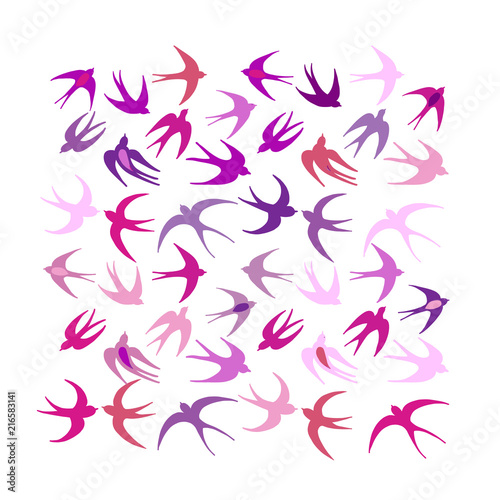 Swallows, background for your design