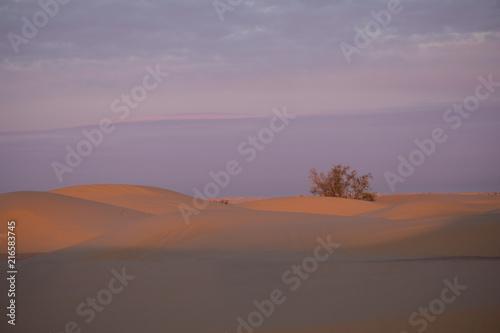 Imperal Dunes at sunrise.