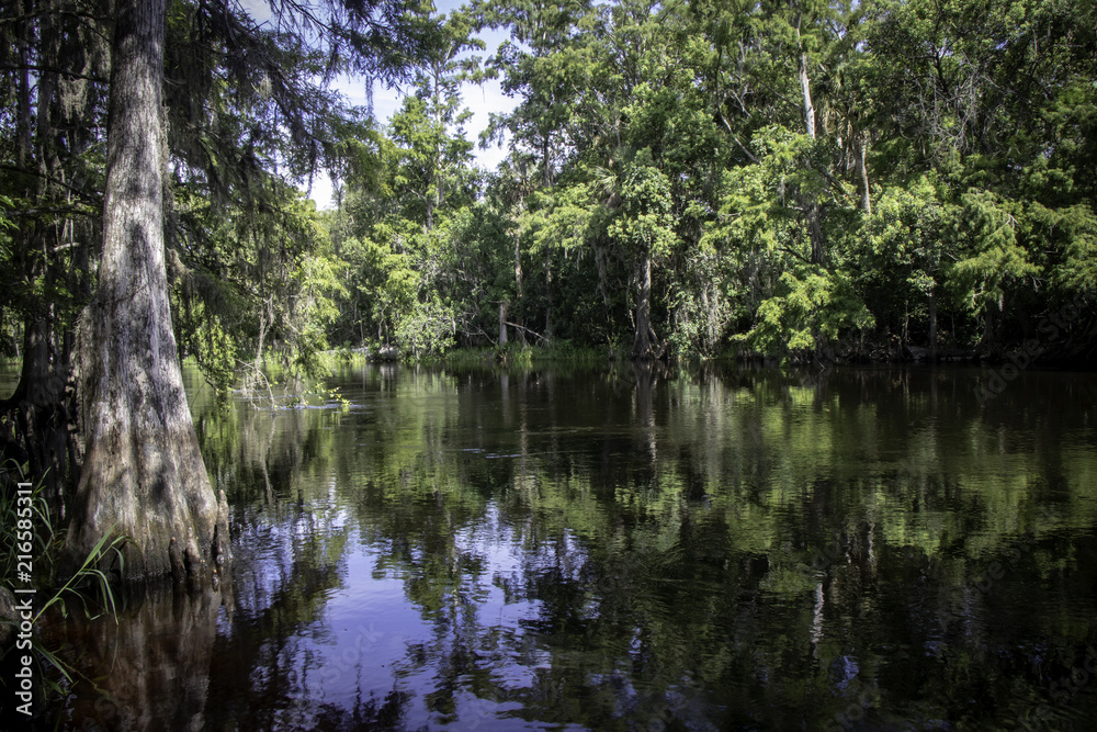 Shingle Creek South 2