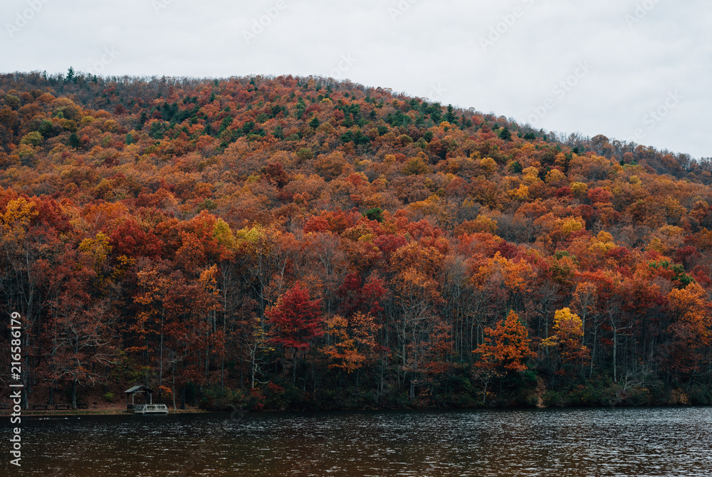 Obraz premium Autumn color at Sherando Lake, near the Blue Ridge Parkway in George Washington National Forest, Virginia.