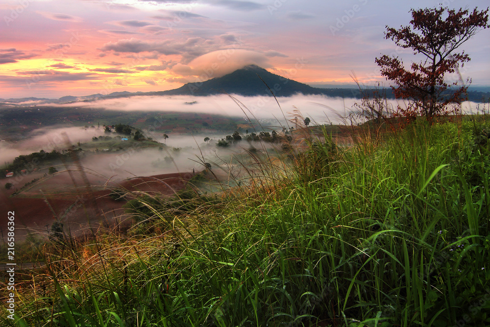 Obraz premium Beautiful scenery during sunrise time at Khao Takhian Ngo , Khao Kho District ,Phetchabun Province in Thailand is a very popular for photographers and tourists. Attractions and natural Concept