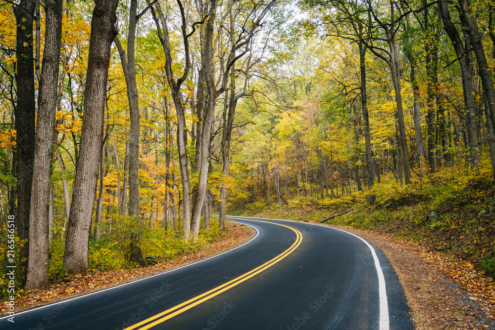 Early autumn color along Skyline Drive in Shenandoah National Park, Virginia