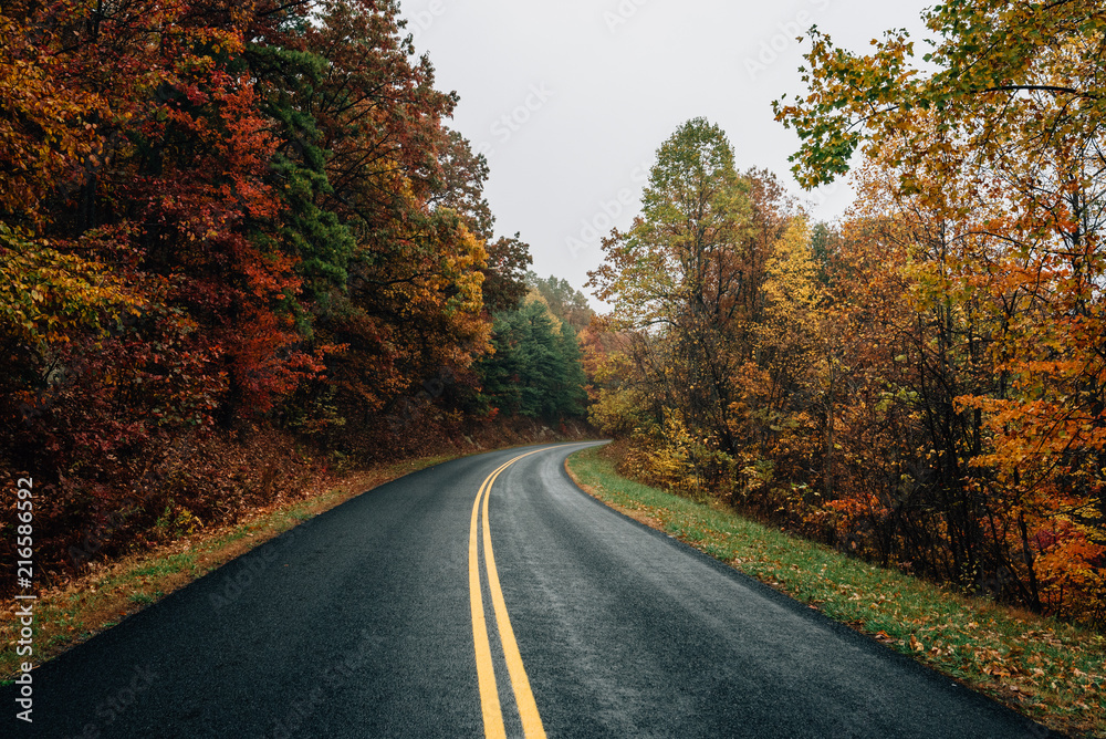 Fall color along the Blue Ridge Parkway in Virginia. Fall color along the Blue Ridge Parkway in Virginia.