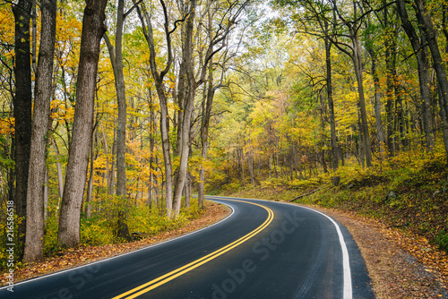 Early autumn color along Skyline Drive in Shenandoah National Park, Virginia