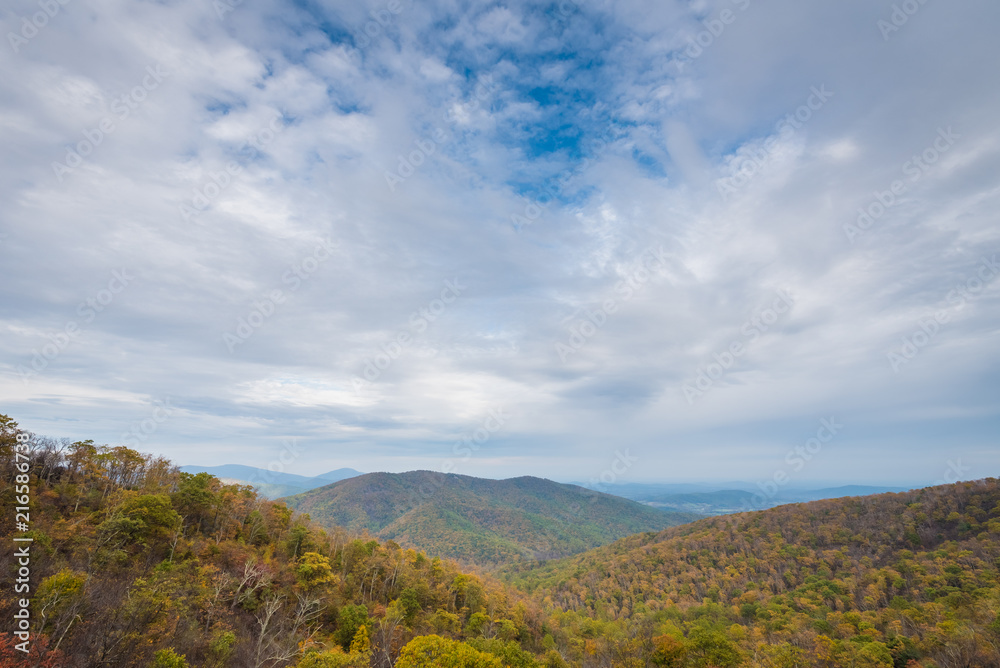 Fall color and Blue Ridge Mountains view from Skyline Drive in Shenandoah National Park, Virginia