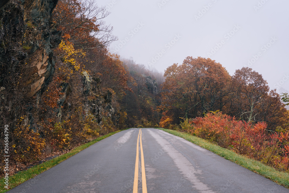 Fall foliage and fog on the Blue Ridge Parkway in Virginia Fall foliage and fog on the Blue Ridge Parkway in Virginia