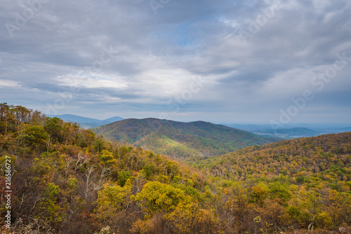 Fall color and Blue Ridge Mountains view from Skyline Drive in Shenandoah National Park, Virginia